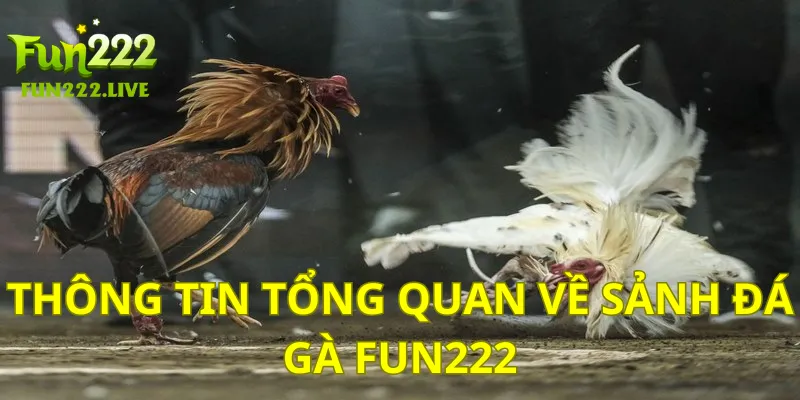 Thông tin tổng quan về sảnh đá gà Fun222