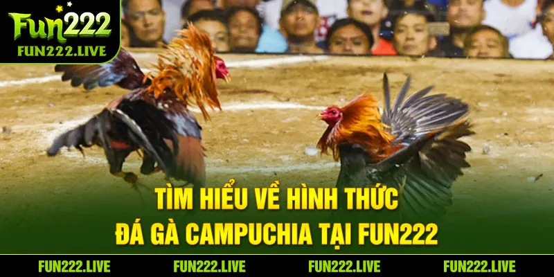 Tìm hiểu về hình thức đá gà Campuchia tại Fun222